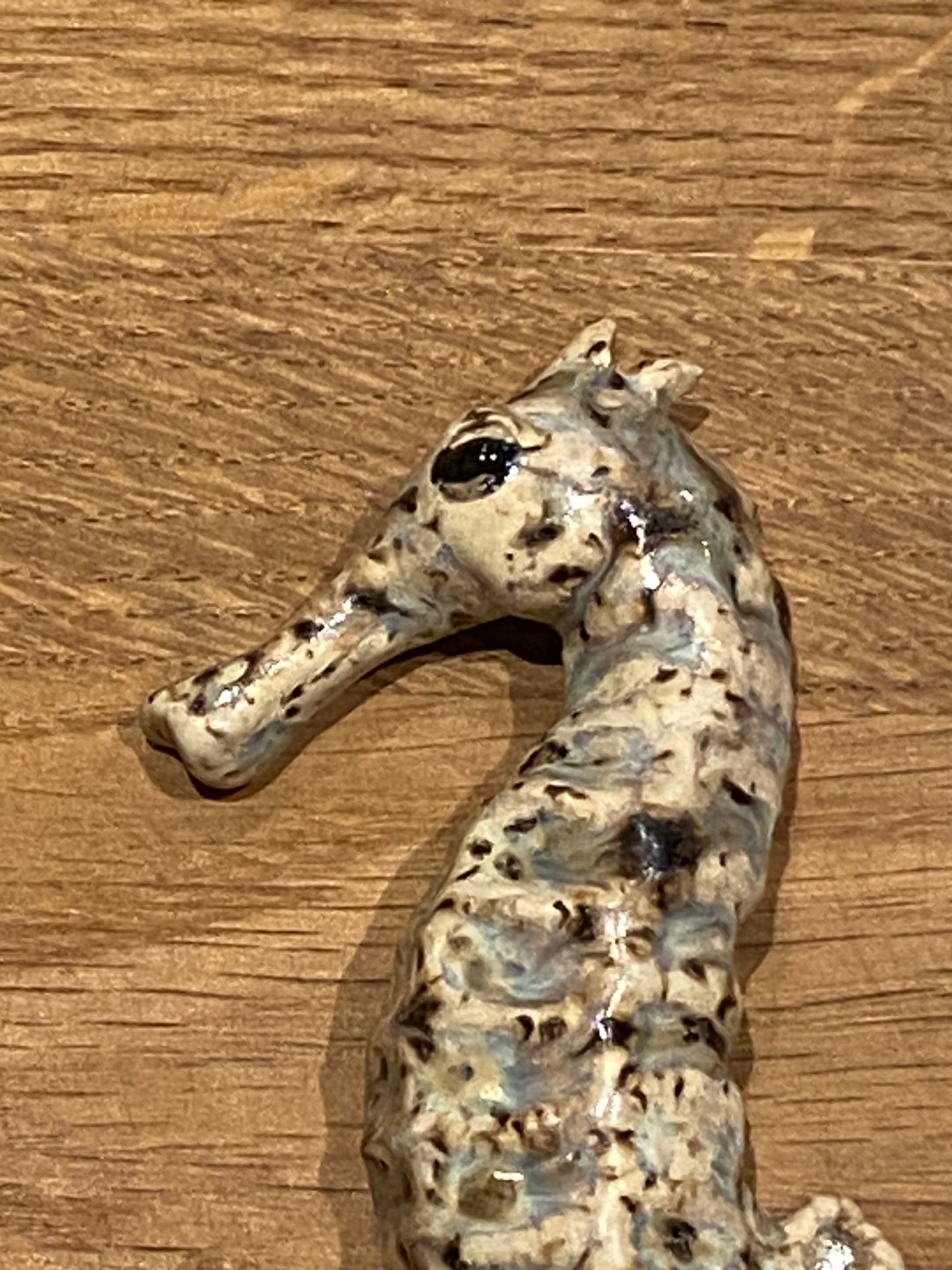 Søhest
