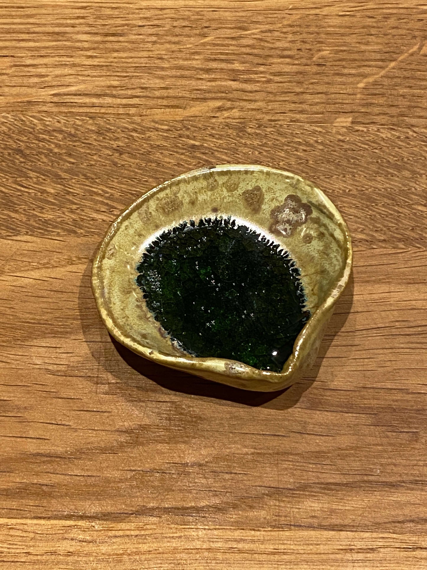 Sea Shell