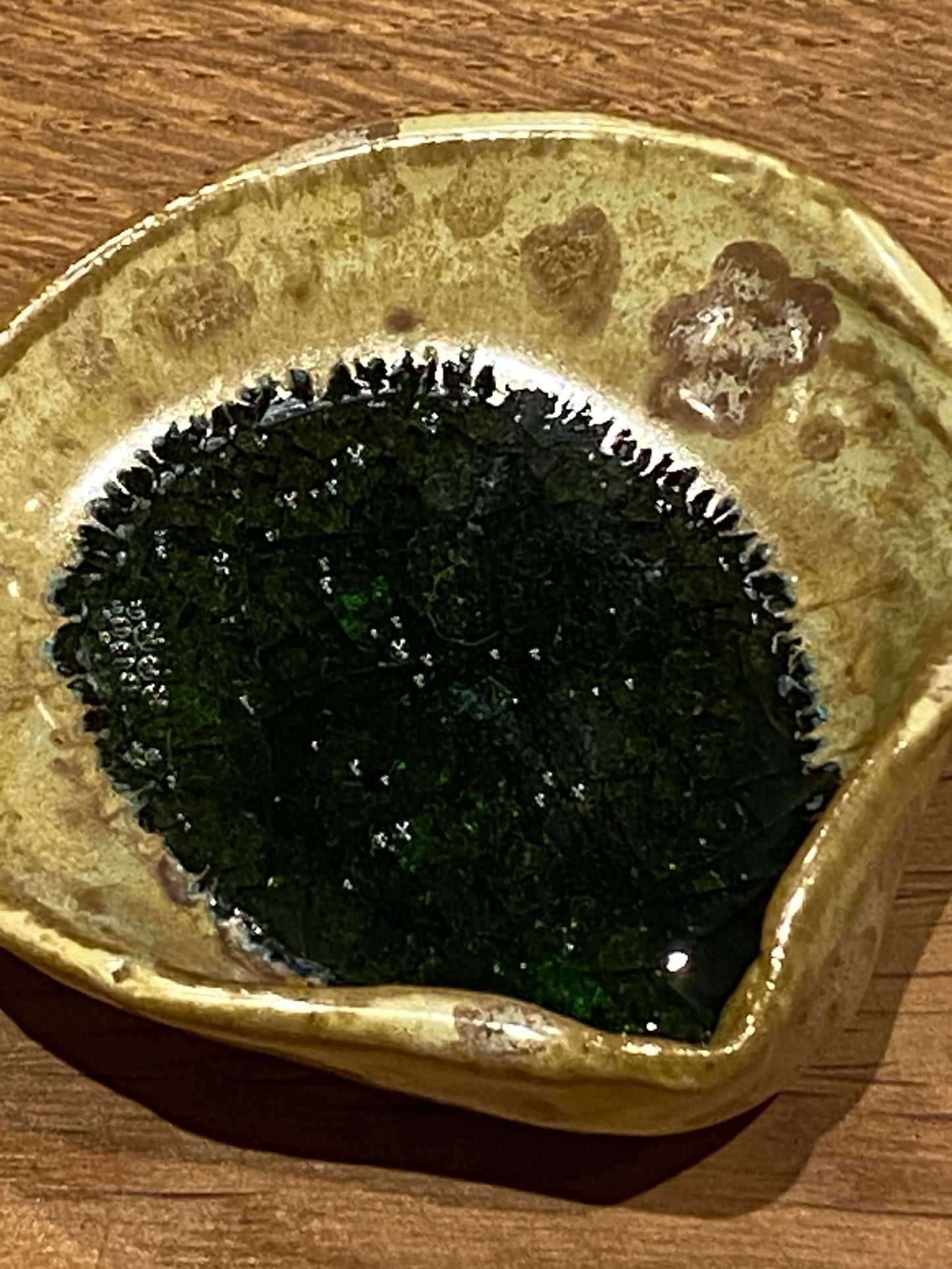 Sea Shell