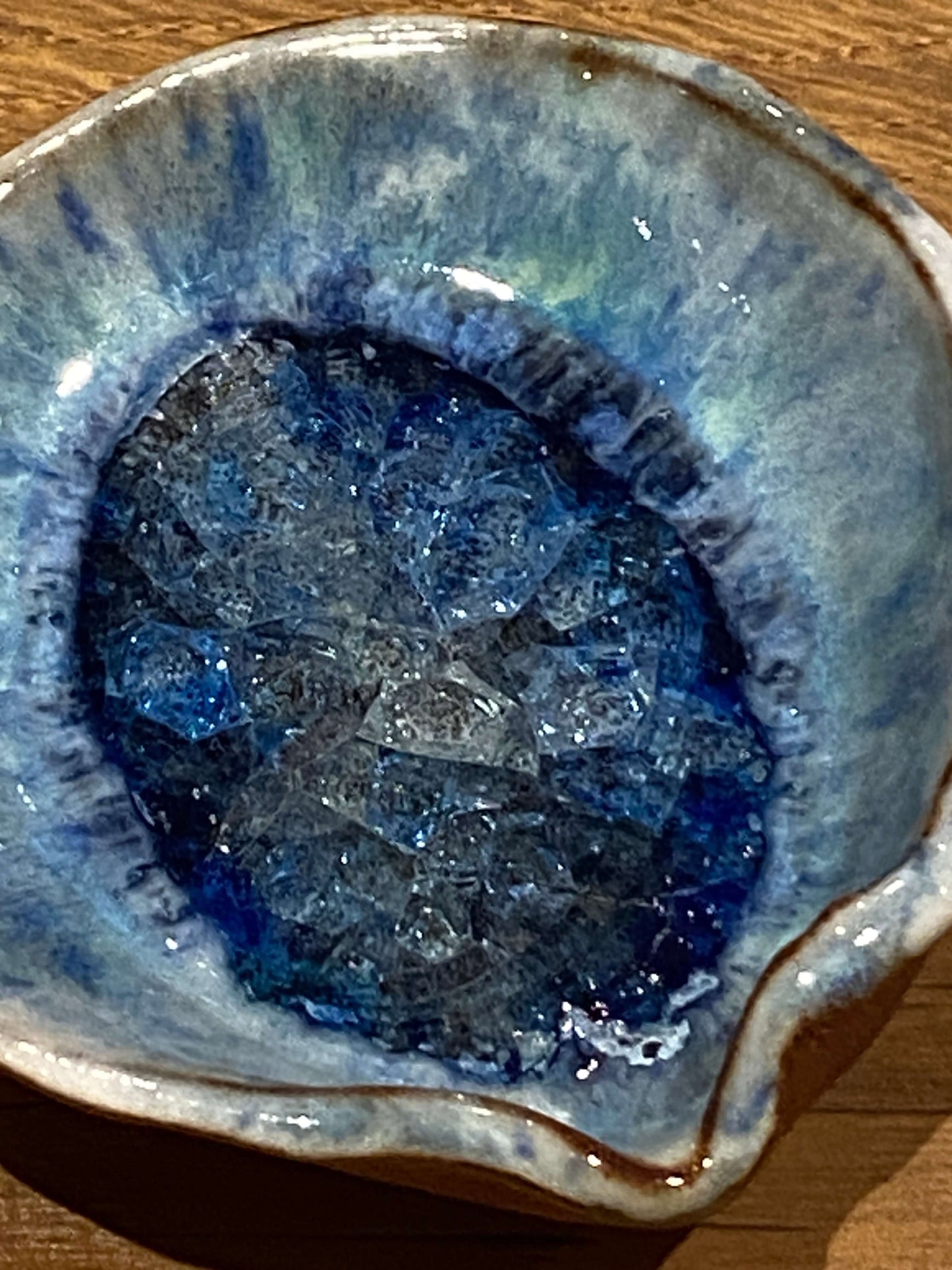 Sea Shell
